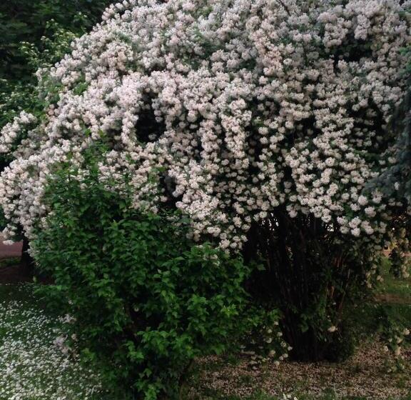 بنسيون öregtölgy Panzio