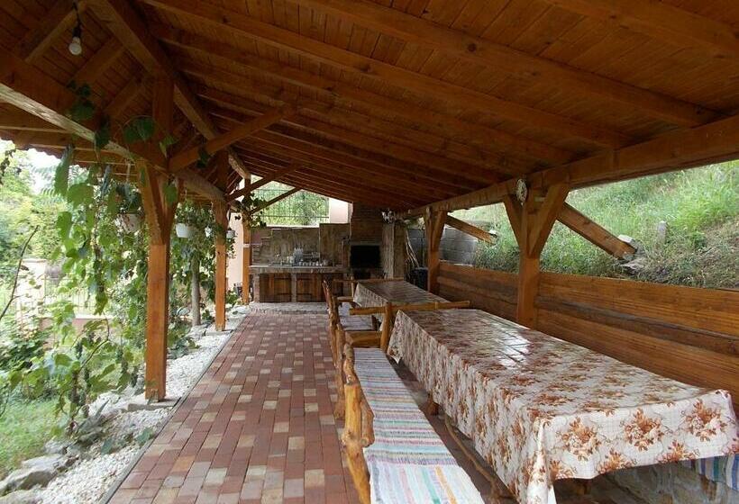 پانسیون Vila Izvor