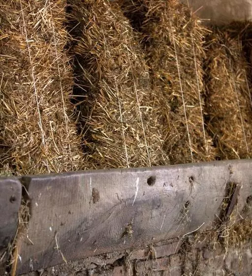 هتل Agriturismo Il Girasole