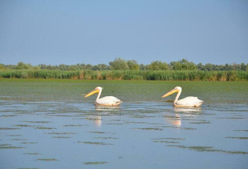 펜션 Casa Nelu Pescaru