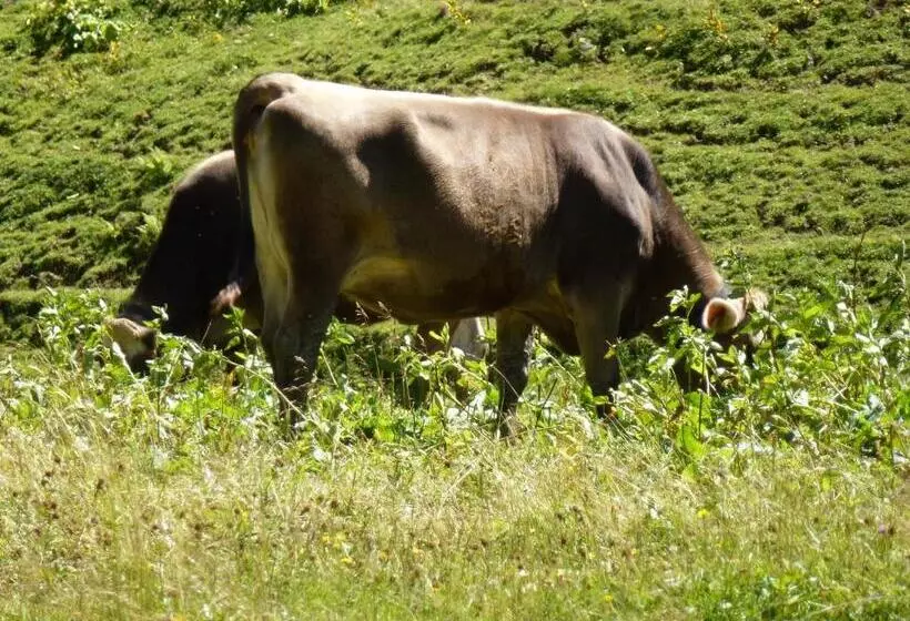 ペンション Gästehaus Christa