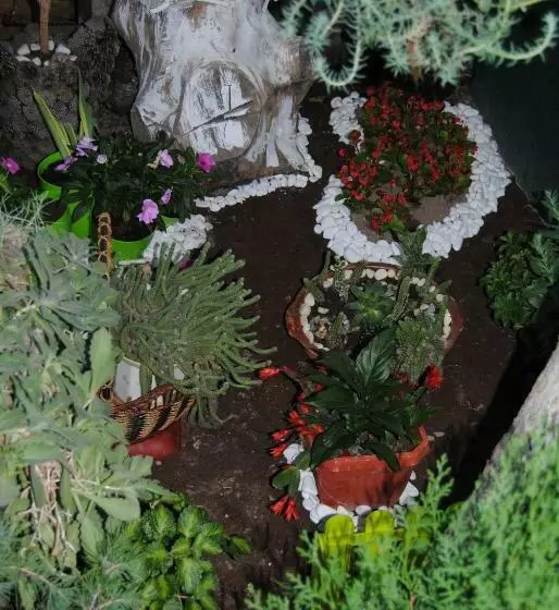 پانسیون Joleski Accommodation