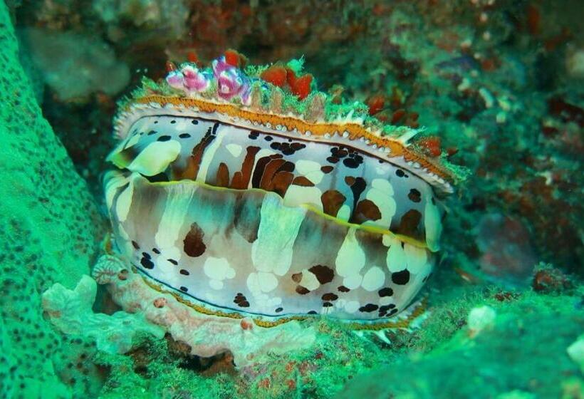 펜션 Pondok Rahayu Guest House