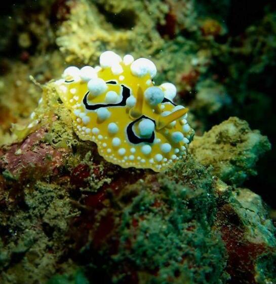 펜션 Pondok Rahayu Guest House