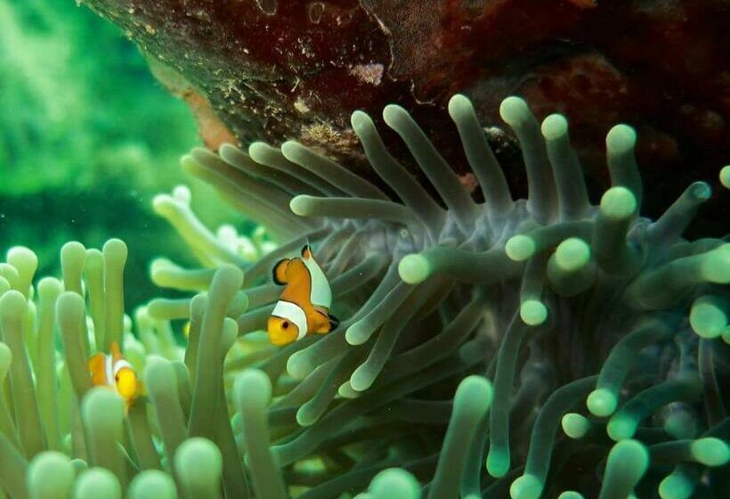 펜션 Pondok Rahayu Guest House