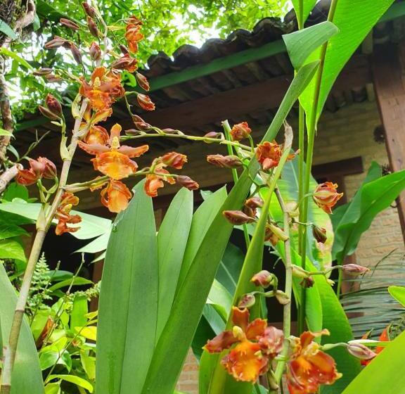 Pension Pousada Bucaneiros