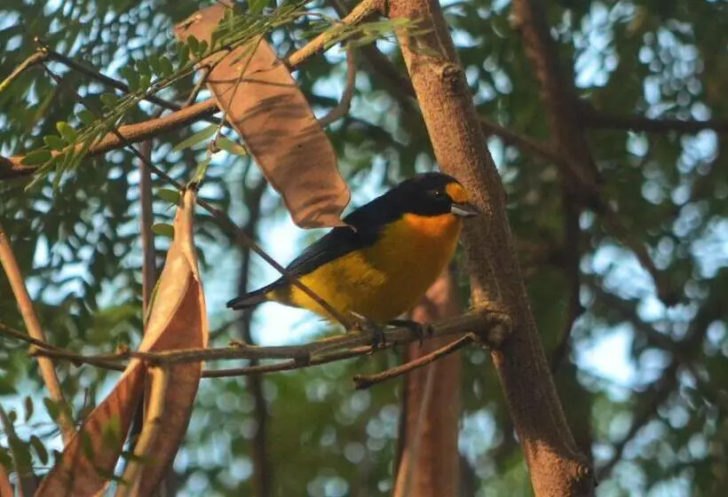 ペンション Pousada Da Praia Caraiva