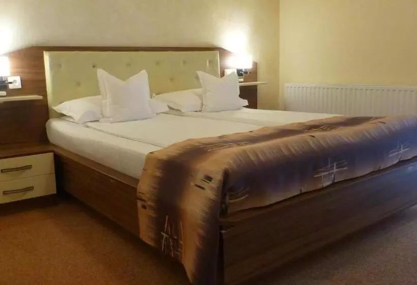 ペンション Vila Silvia