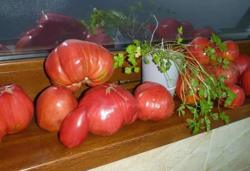 ペンション Vila Silvia