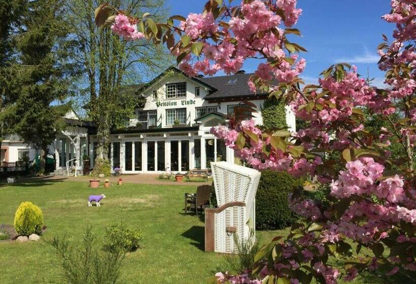 Pension Linde Prerow