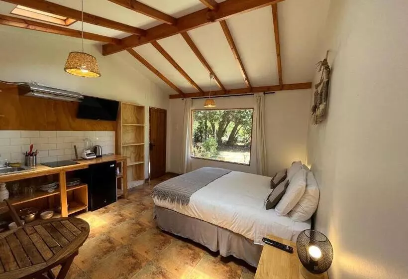 ユースホステル El Arbol Eco Lodge