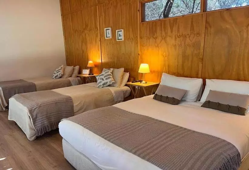 ユースホステル El Arbol Eco Lodge