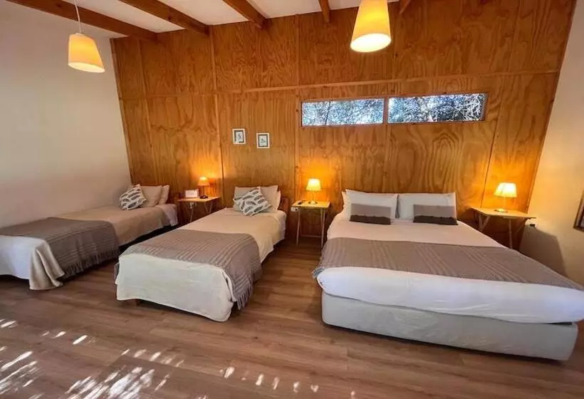 ユースホステル El Arbol Eco Lodge