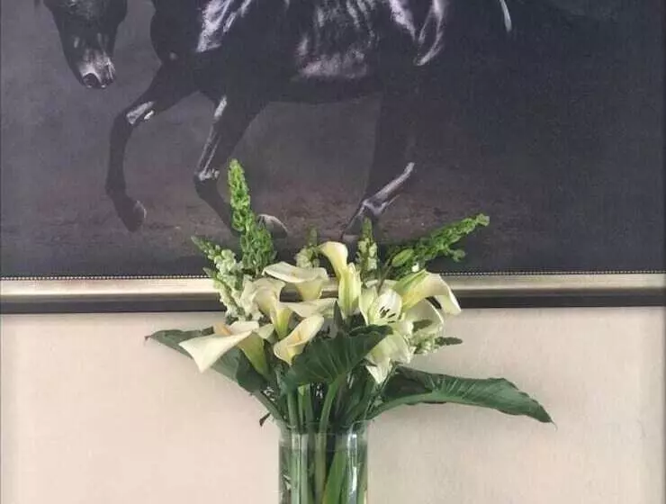 ホテル Boutique Rancho San Jorge