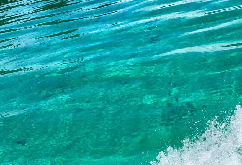 هتل Caribbean View