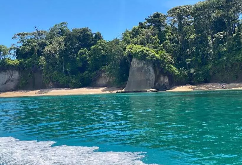 ホテル Caribbean View