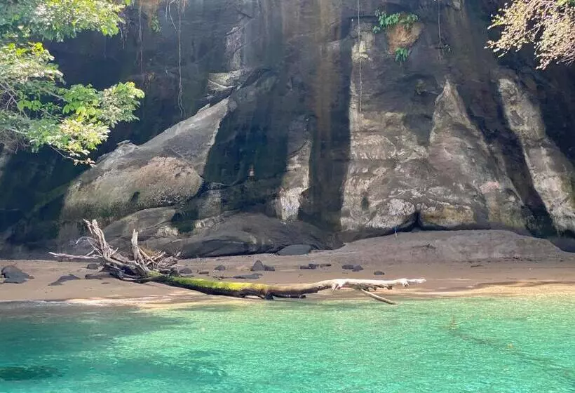 ホテル Caribbean View