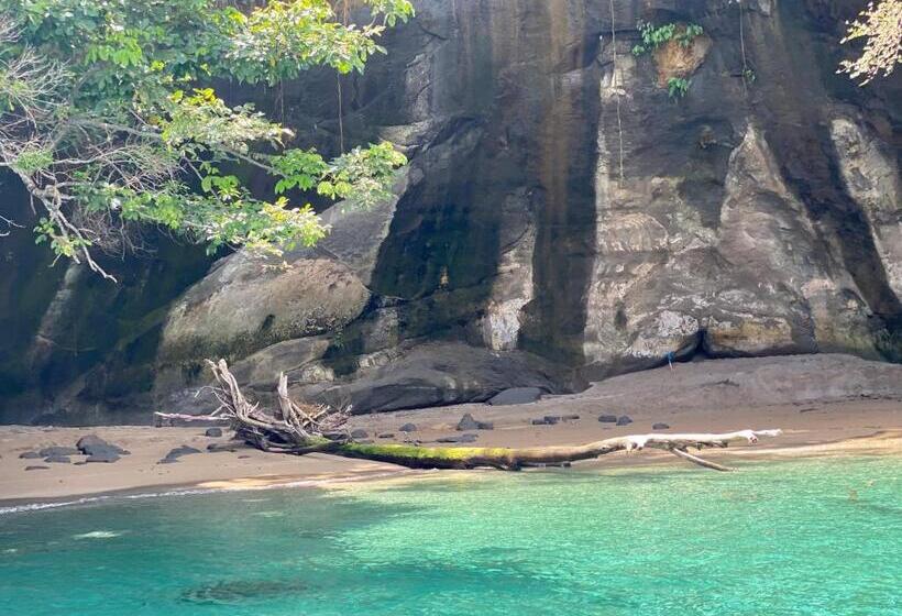 هتل Caribbean View