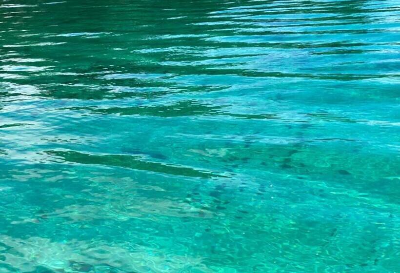 هتل Caribbean View