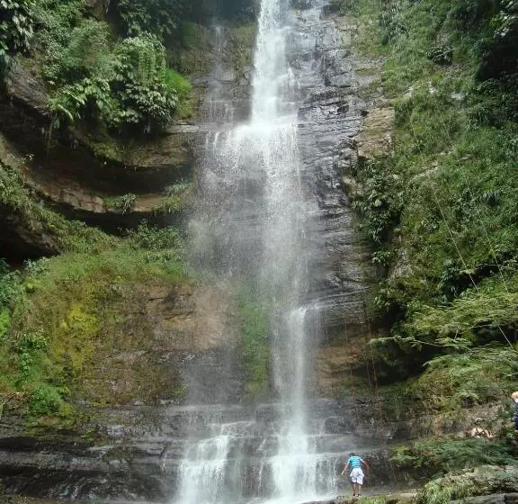 ホテル Centro Real