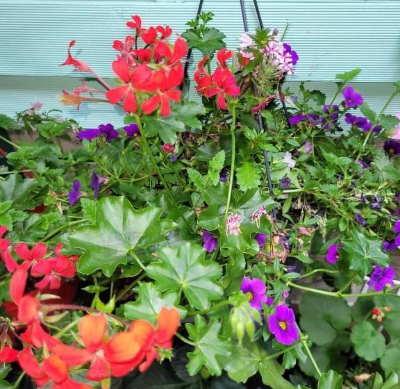 Отель Franken An Der Messe