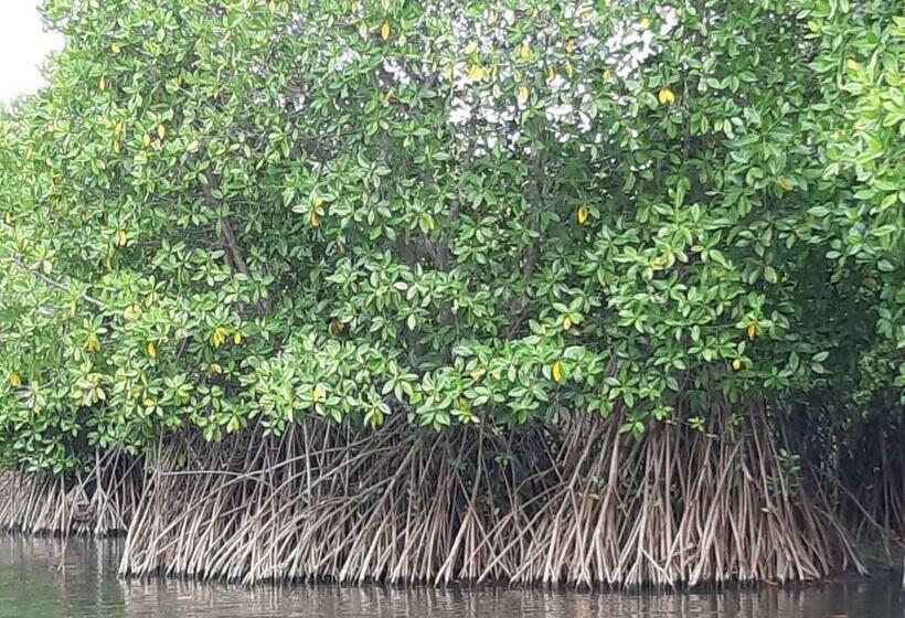 Hotel Royal Point Arugambay