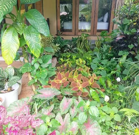 ベッドアンドブレックファースト Amartya Puri Green Cottages