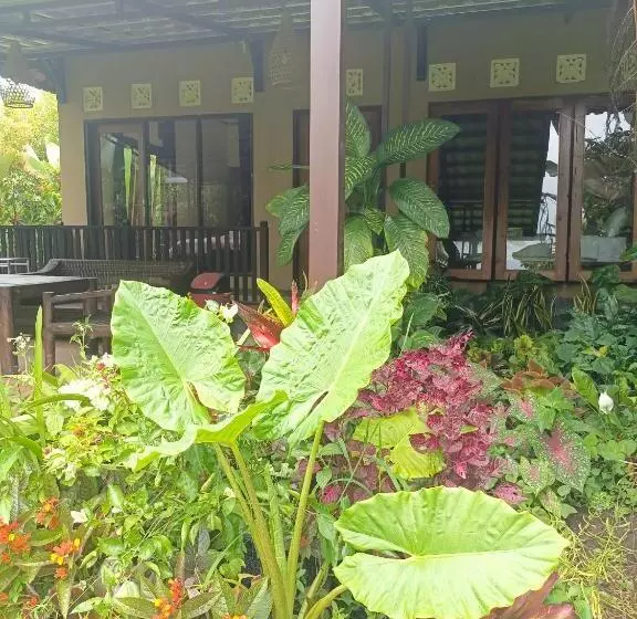 ベッドアンドブレックファースト Amartya Puri Green Cottages
