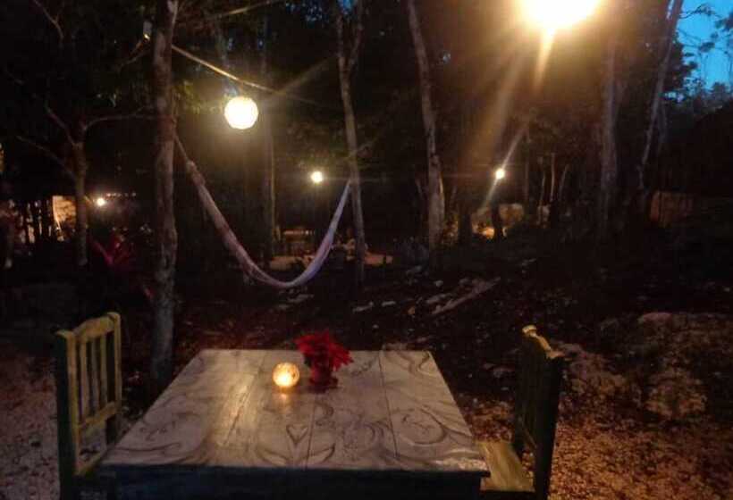 Bed and Breakfast Casa Mango