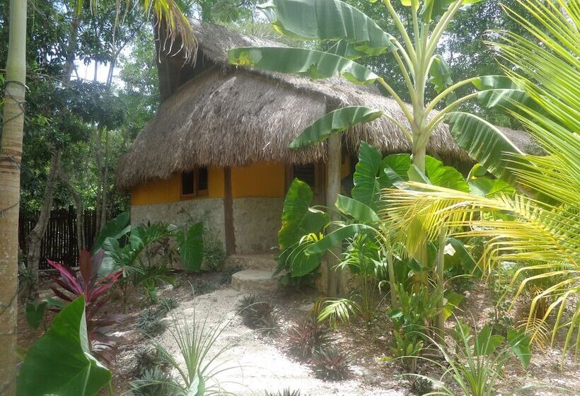 Bed and Breakfast Casa Mango