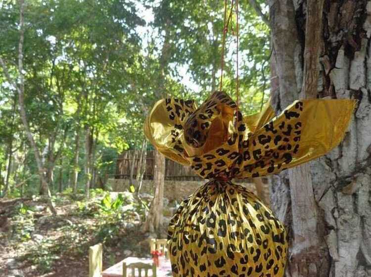 Bed and Breakfast Casa Mango