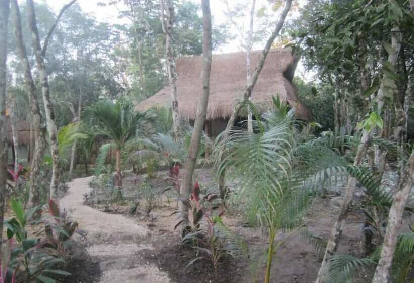 Bed and Breakfast Casa Mango