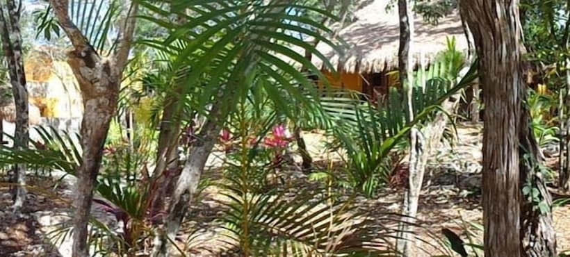 Bed and Breakfast Casa Mango