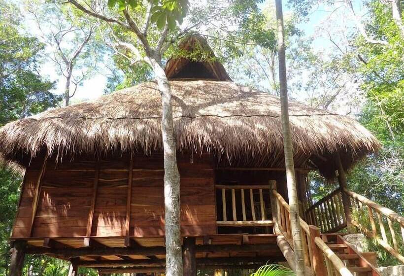 Bed and Breakfast Casa Mango