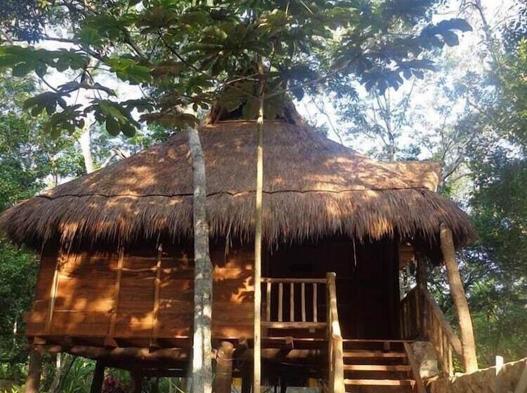 Bed and Breakfast Casa Mango