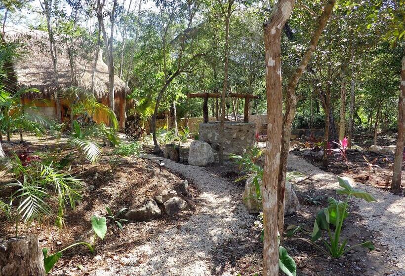 Bed and Breakfast Casa Mango