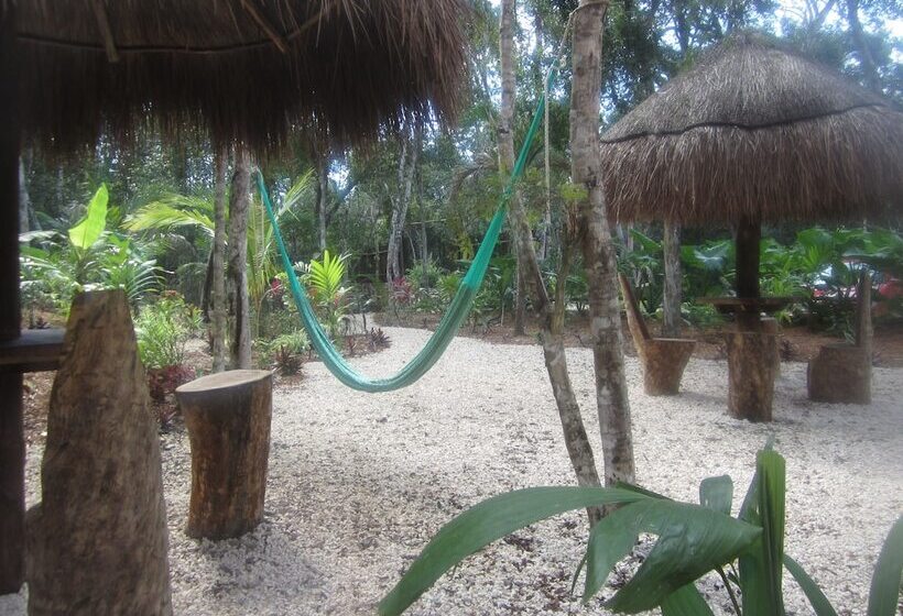 Bed and Breakfast Casa Mango