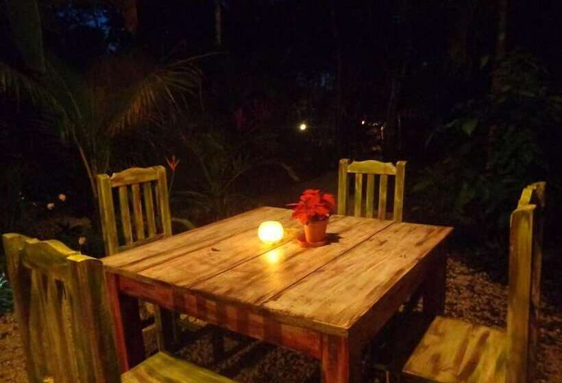 Bed and Breakfast Casa Mango