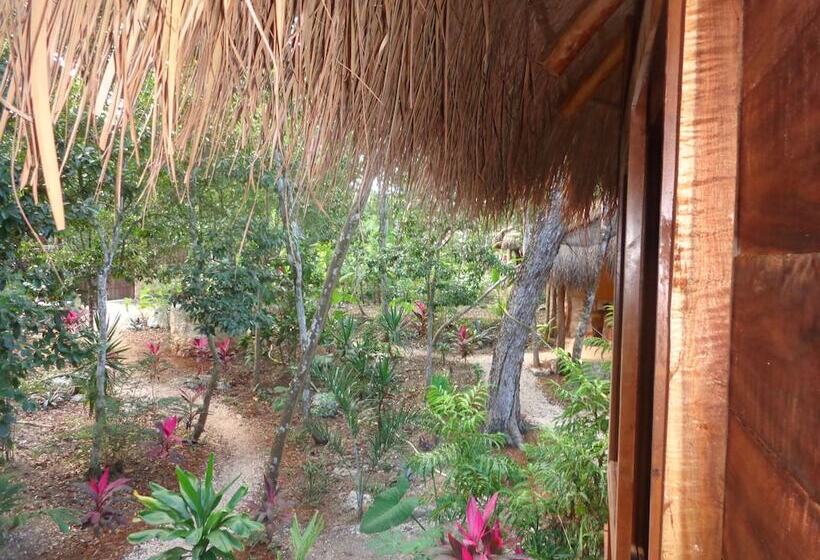 Bed and Breakfast Casa Mango