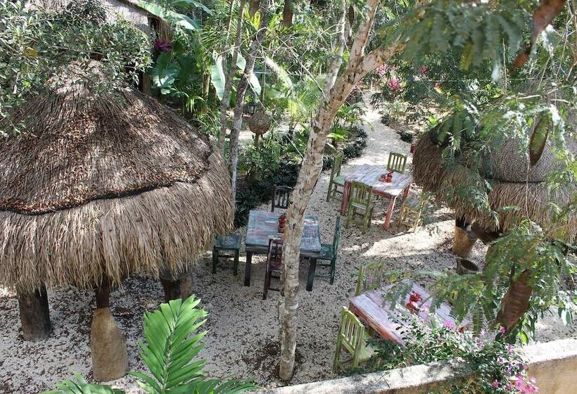 Bed and Breakfast Casa Mango