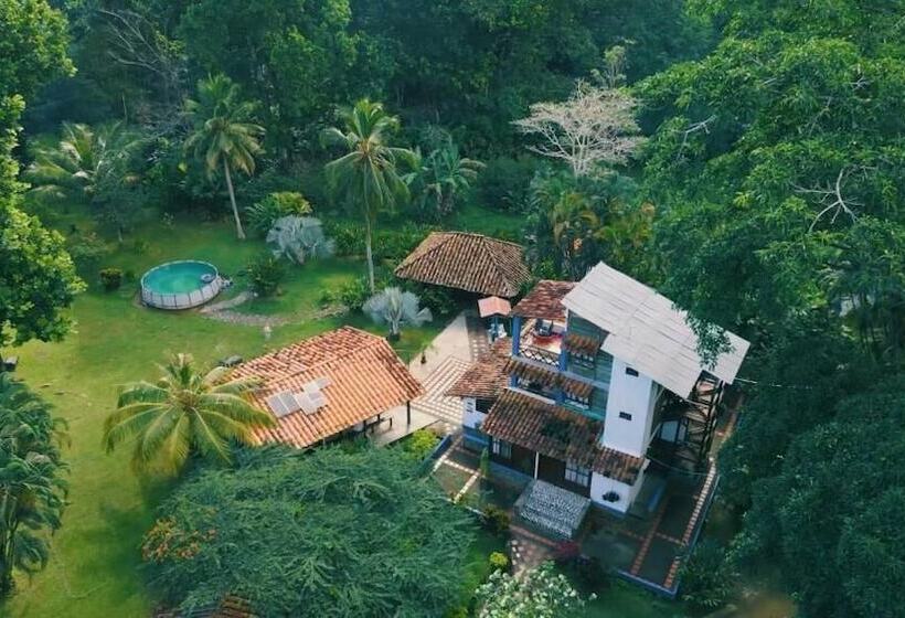 Hotel Los Robles Capurgana