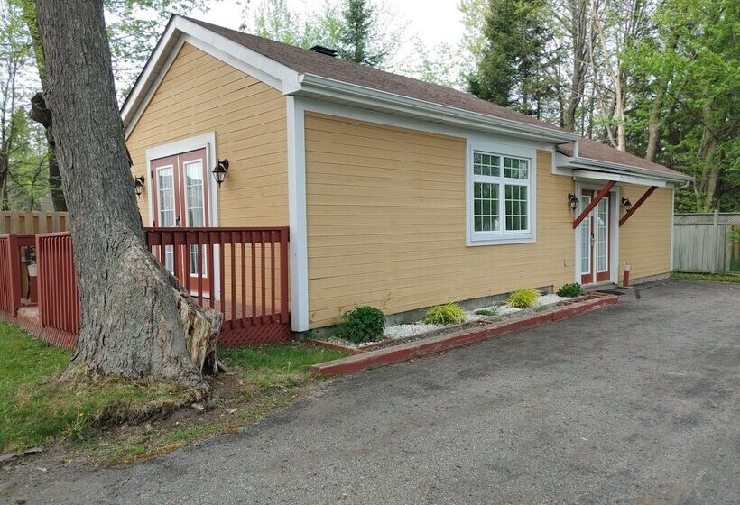 汽车旅馆  North Bay Inn