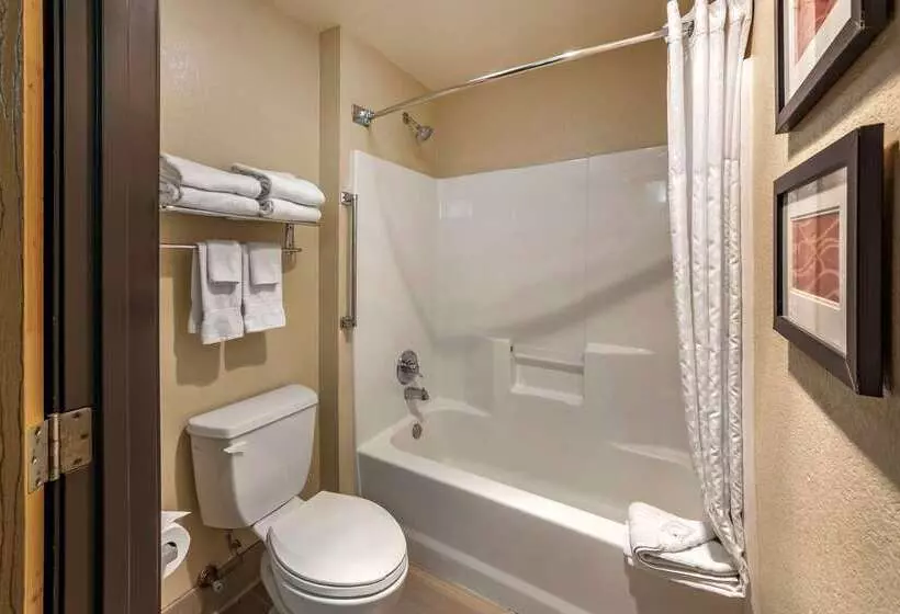 酒店 Comfort Inn Fontana