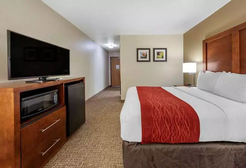 酒店 Comfort Inn Fontana