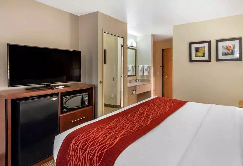 酒店 Comfort Inn Fontana