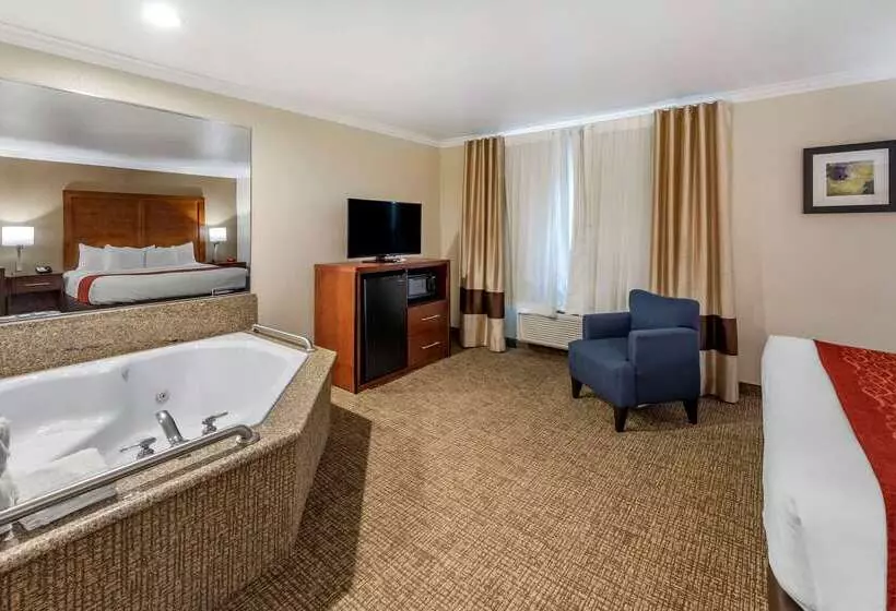 酒店 Comfort Inn Fontana