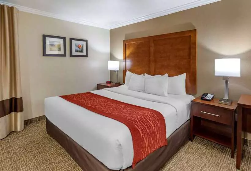 酒店 Comfort Inn Fontana