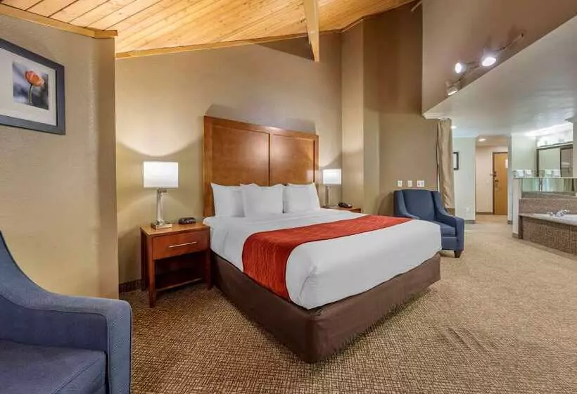 酒店 Comfort Inn Fontana