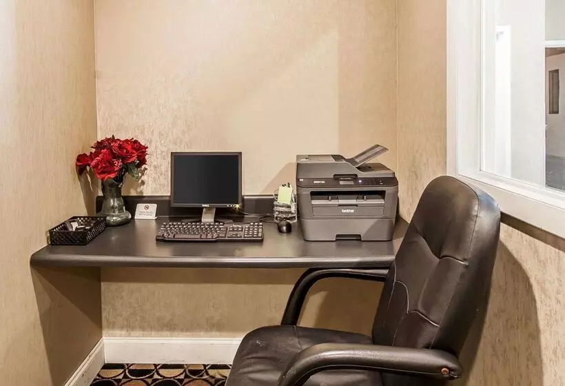 酒店 Quality Inn & Suites