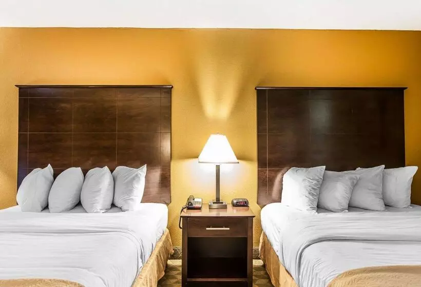 酒店 Quality Inn & Suites